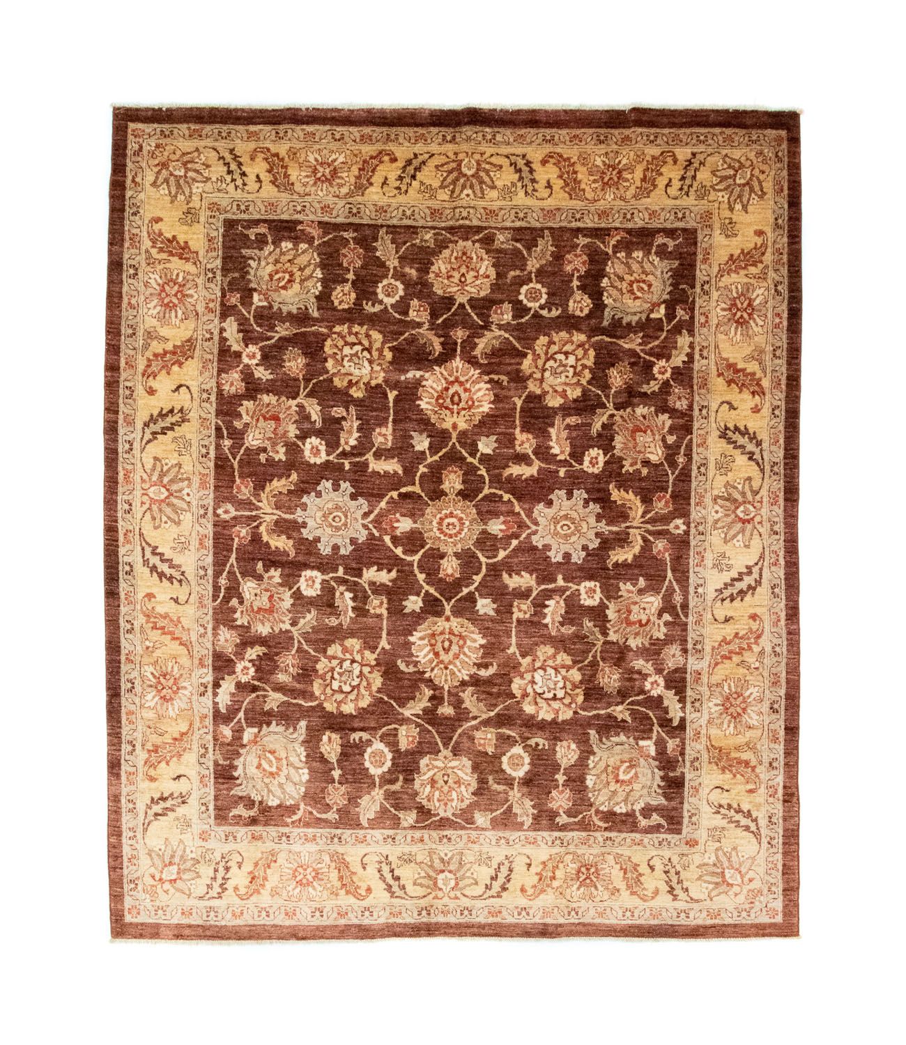 Ziegler Teppich 290 x 249 cm