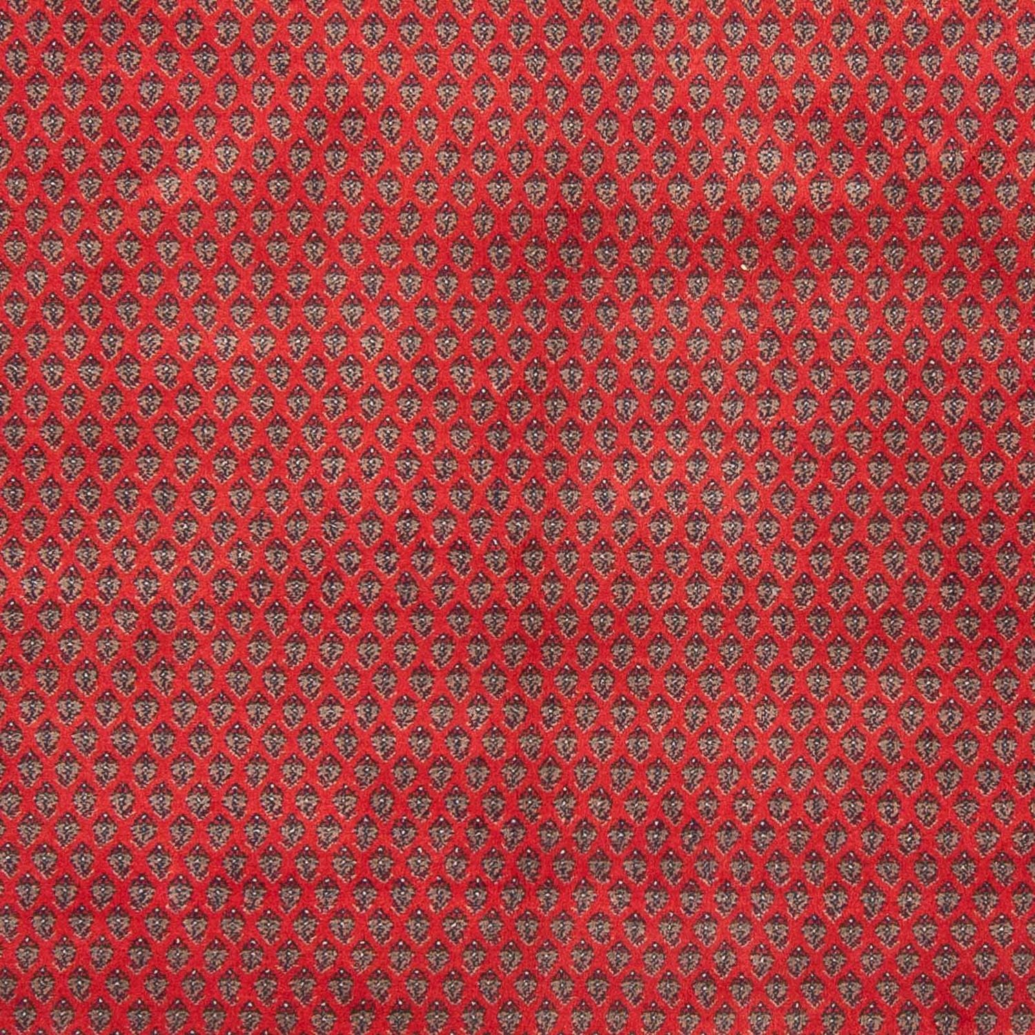 Orientteppich - Mir - Indus 239 x 173 cm