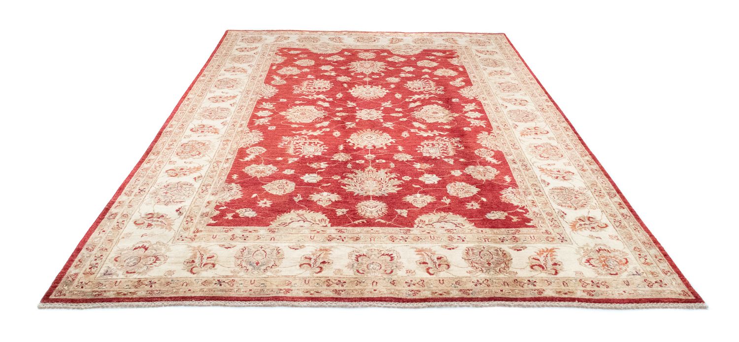 Ziegler Teppich 301 x 212 cm