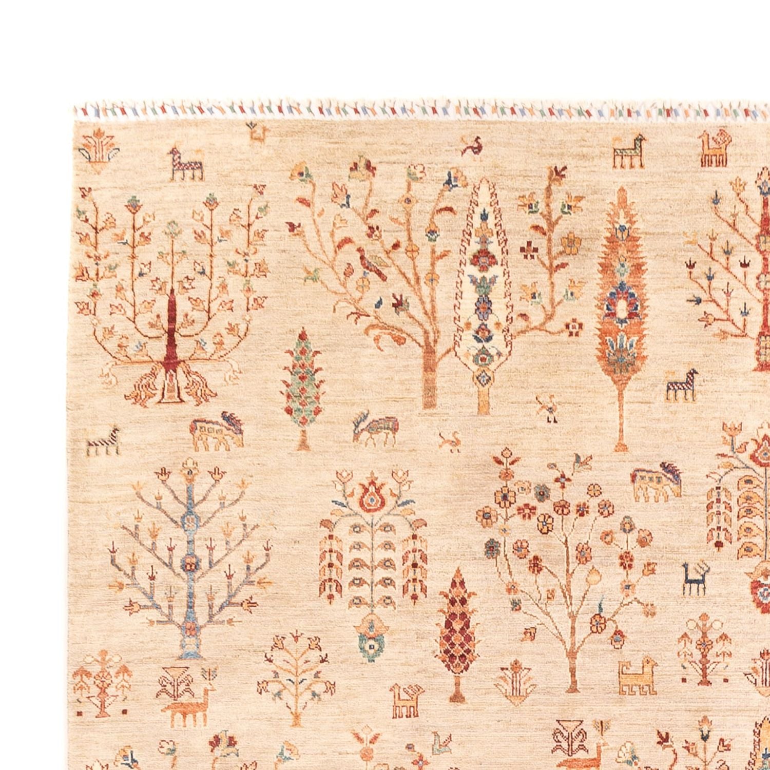 Ziegler Teppich - Ariana - 337 x 247 cm - beige