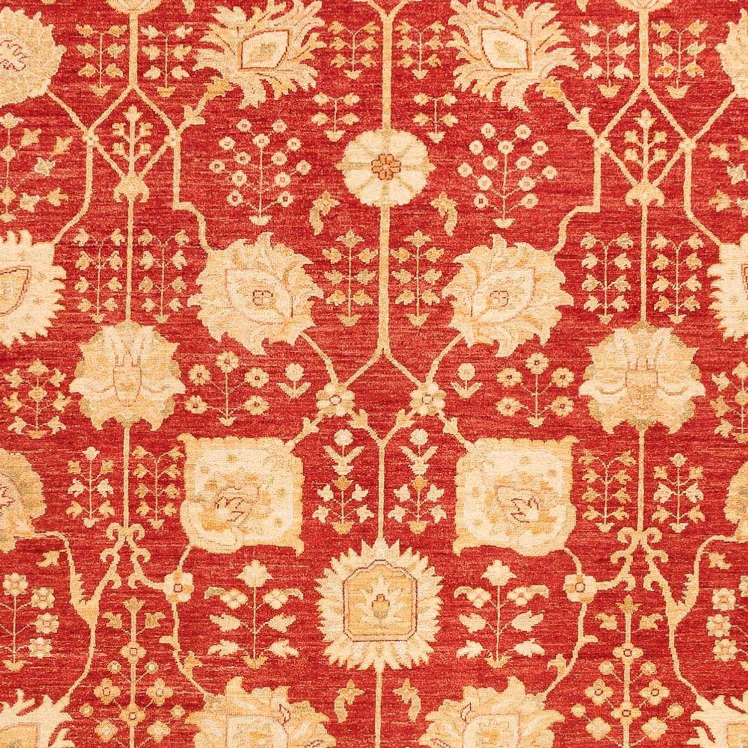 Ziegler Teppich - 340 x 254 cm - rot