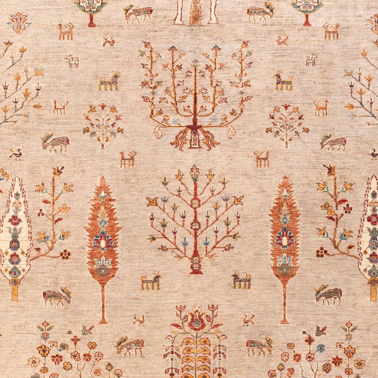 Ziegler Teppich - Ariana - 292 x 204 cm - rosa
