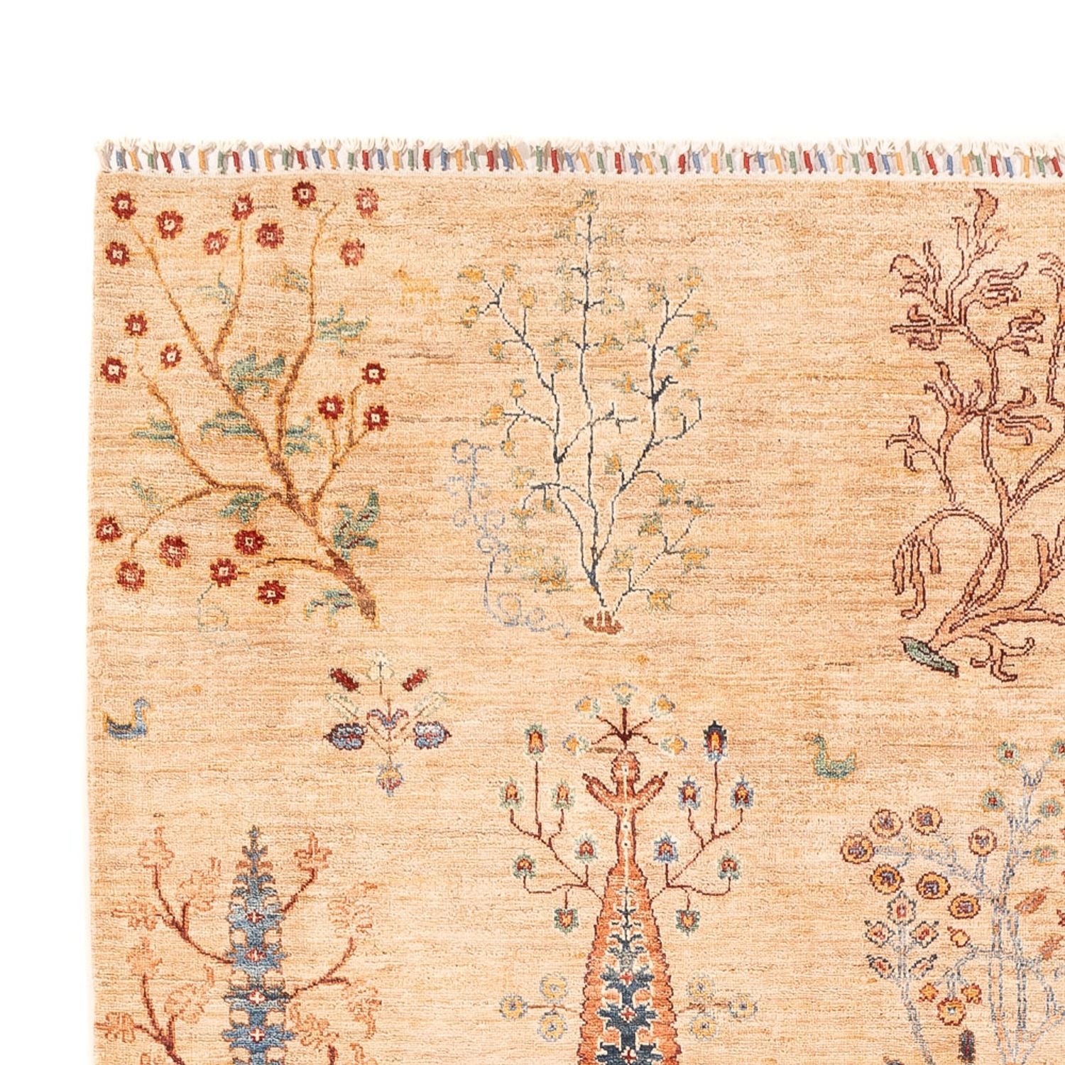 Ziegler Teppich - Ariana - 293 x 206 cm - beige