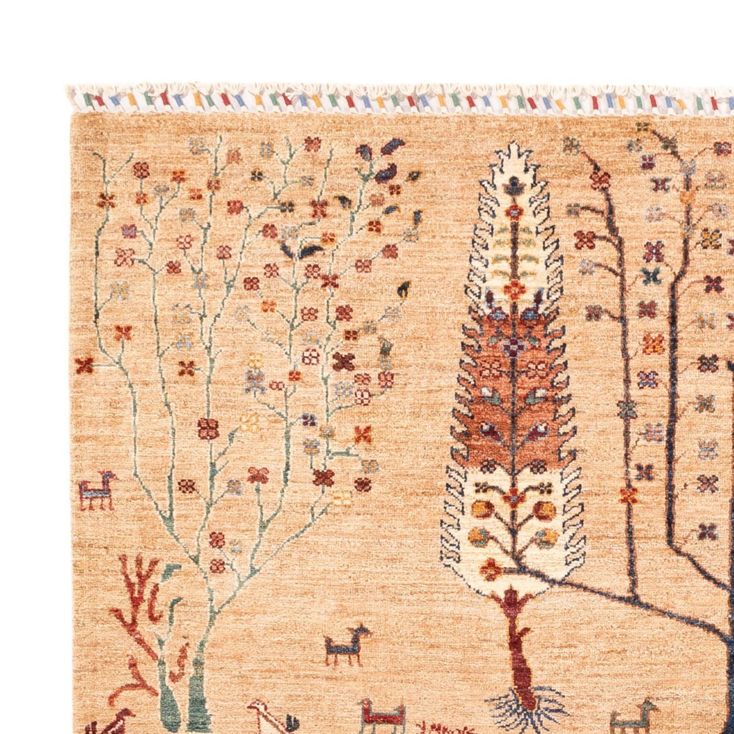 Ziegler Teppich - Ariana - 236 x 173 cm - beige