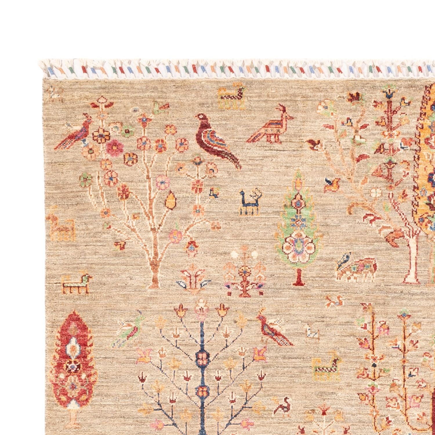 Ziegler Teppich - Ariana - 242 x 169 cm - hellbeige