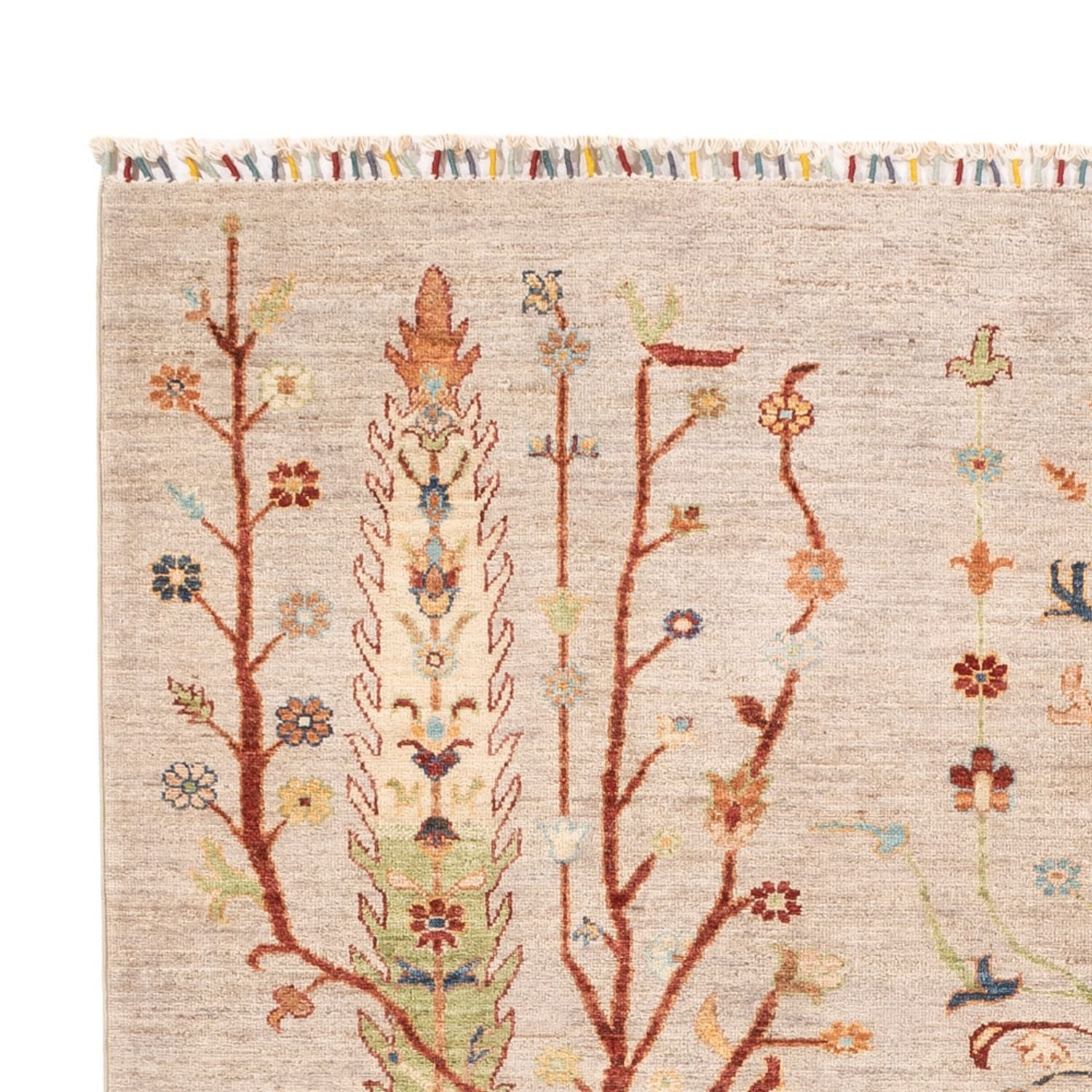 Ziegler Teppich - Ariana - 239 x 167 cm - creme