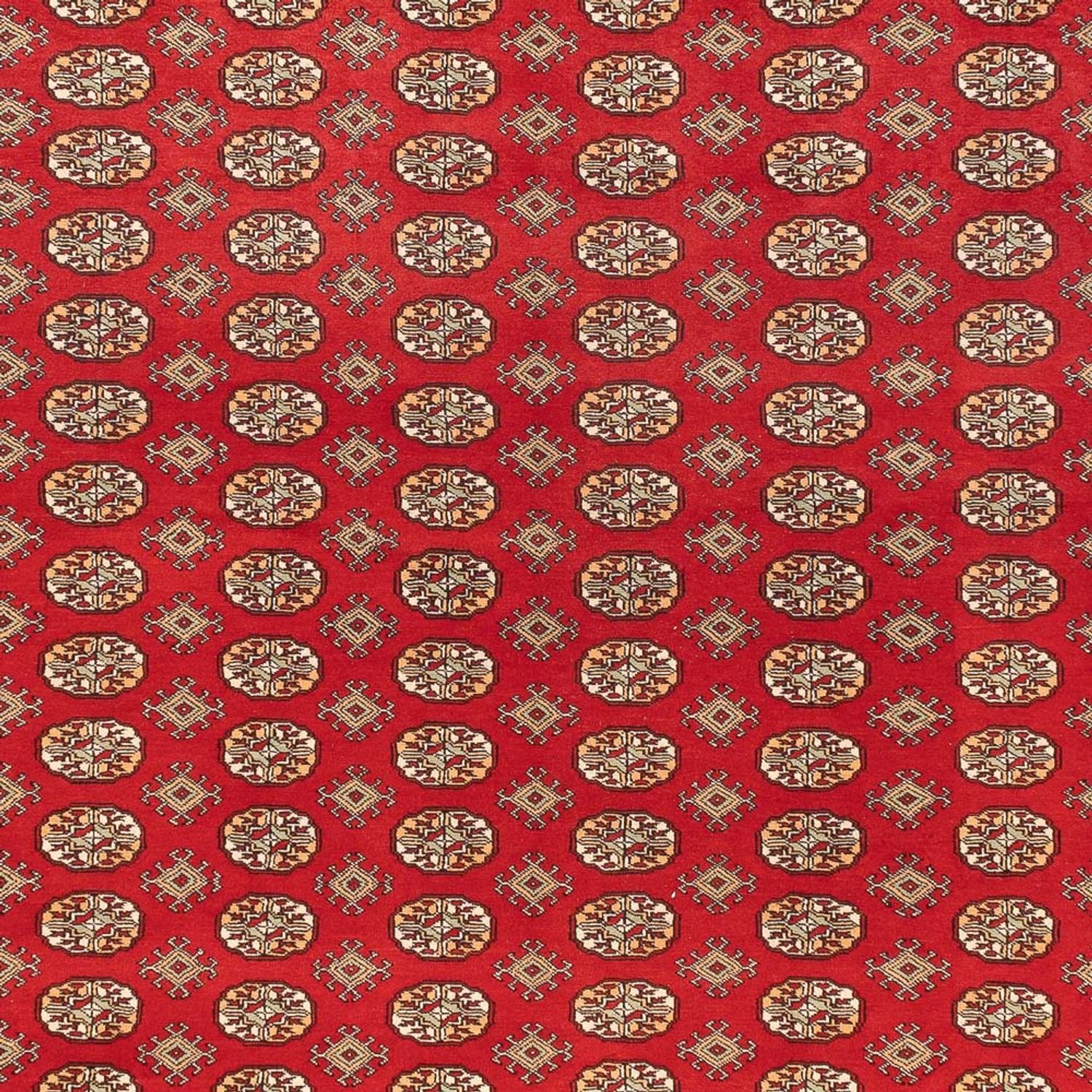 Afghan Teppich - Buchara - 418 x 310 cm - hellrot