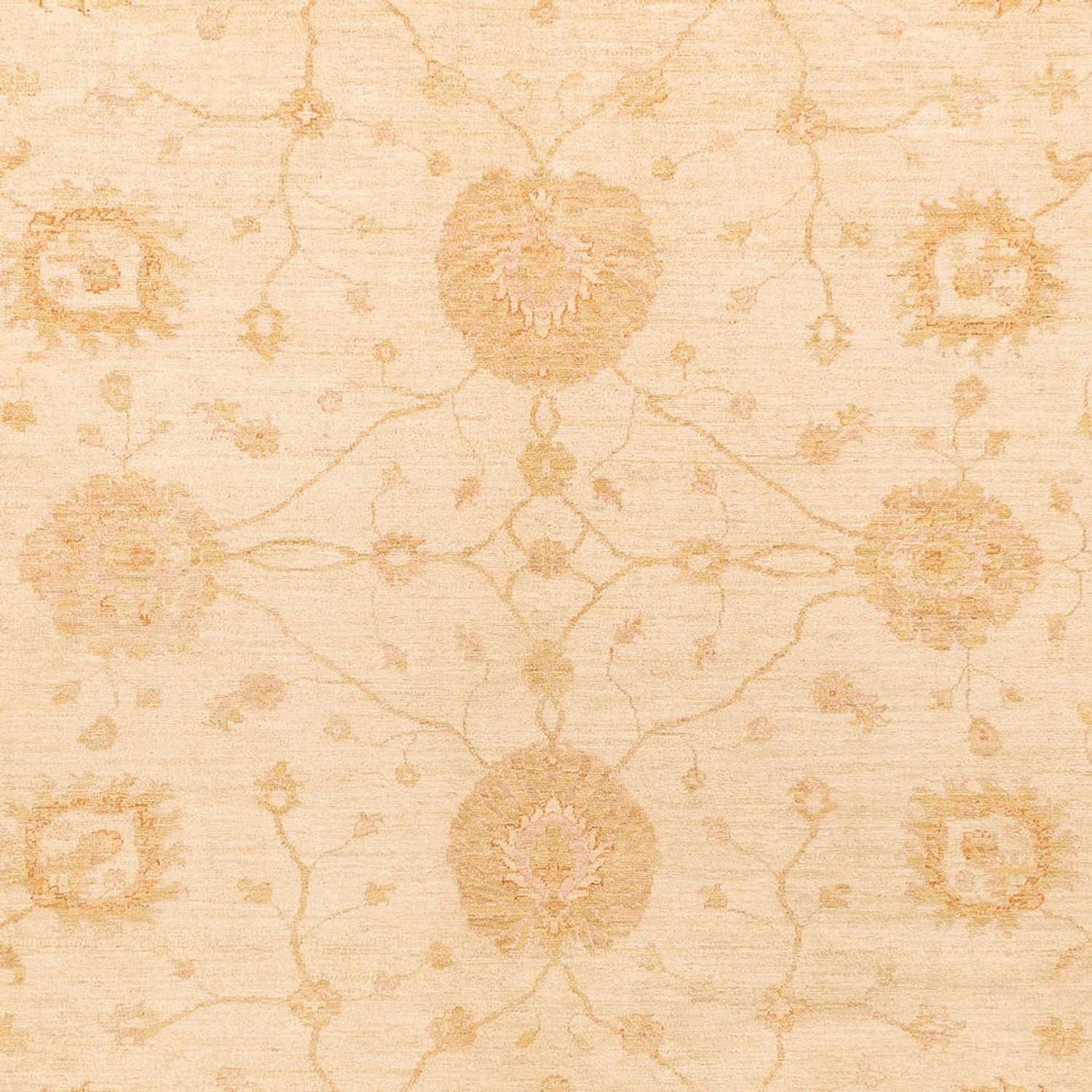 Ziegler Teppich - 362 x 275 cm - beige