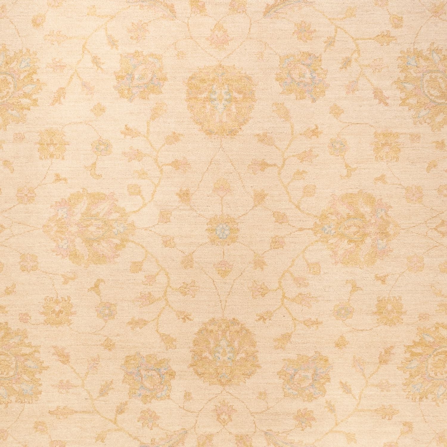 Ziegler Teppich - 368 x 274 cm - beige