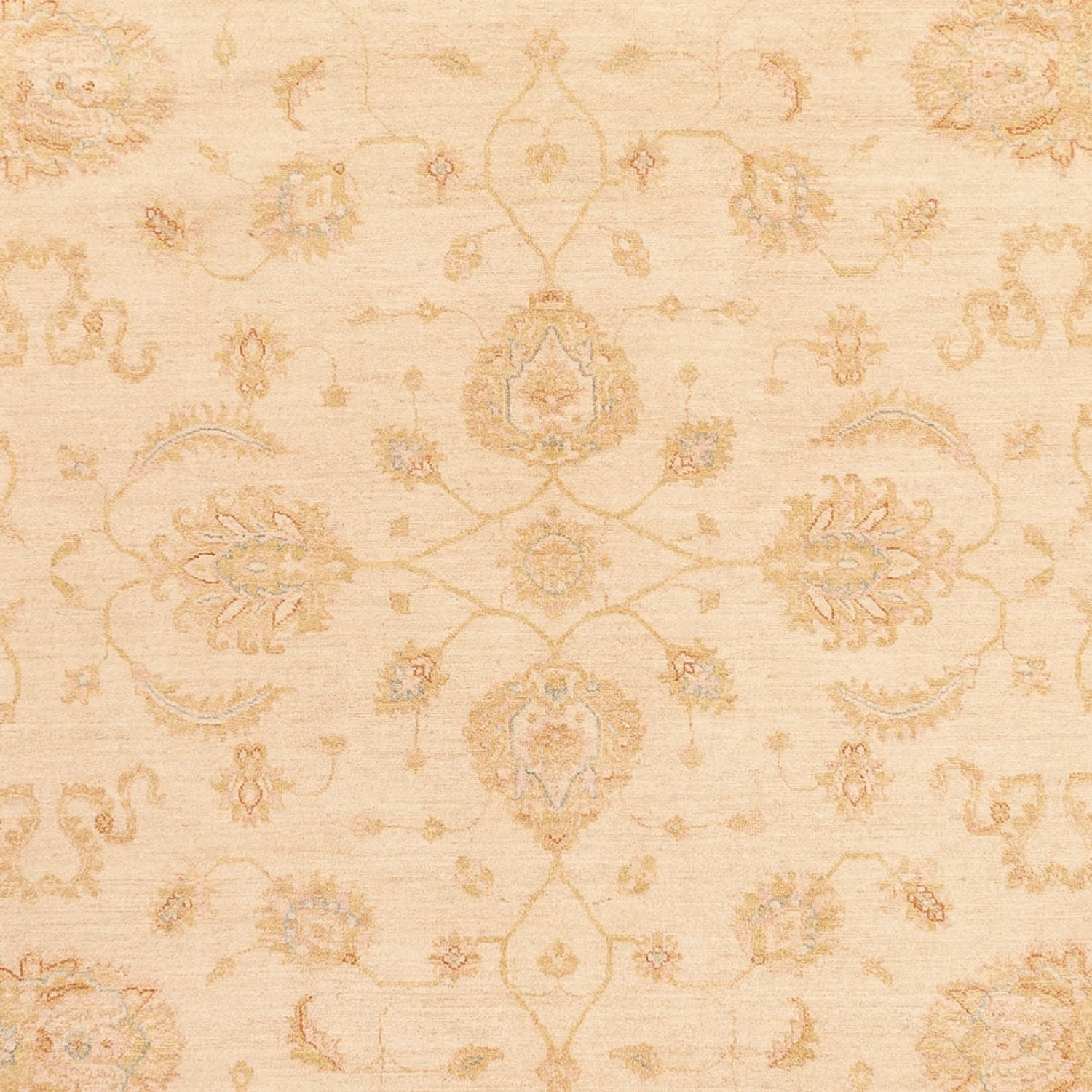 Ziegler Teppich - 364 x 277 cm - beige