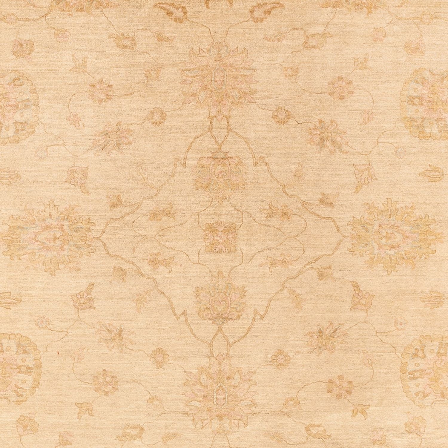 Ziegler Teppich - 375 x 273 cm - beige