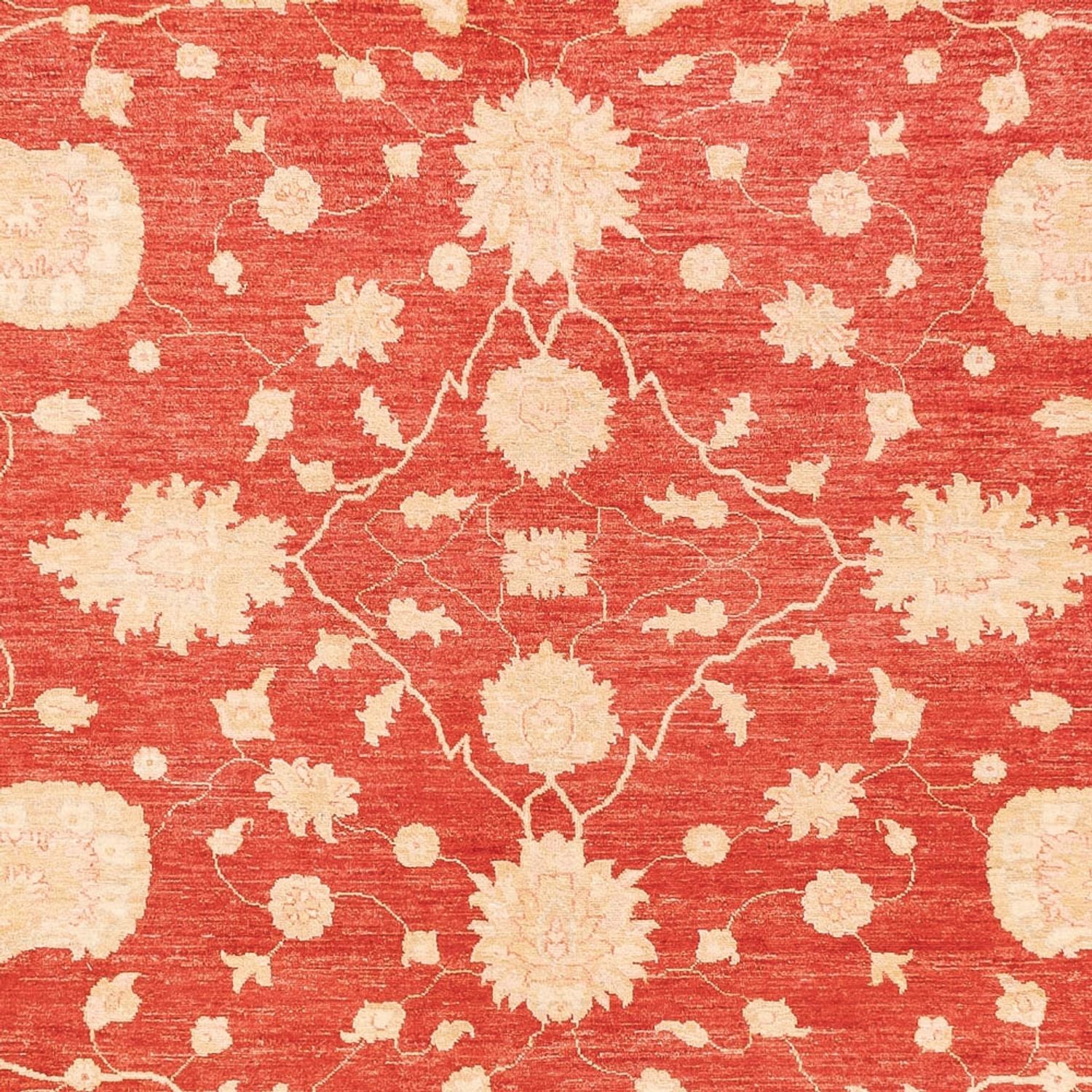 Ziegler Teppich - 373 x 274 cm - rot