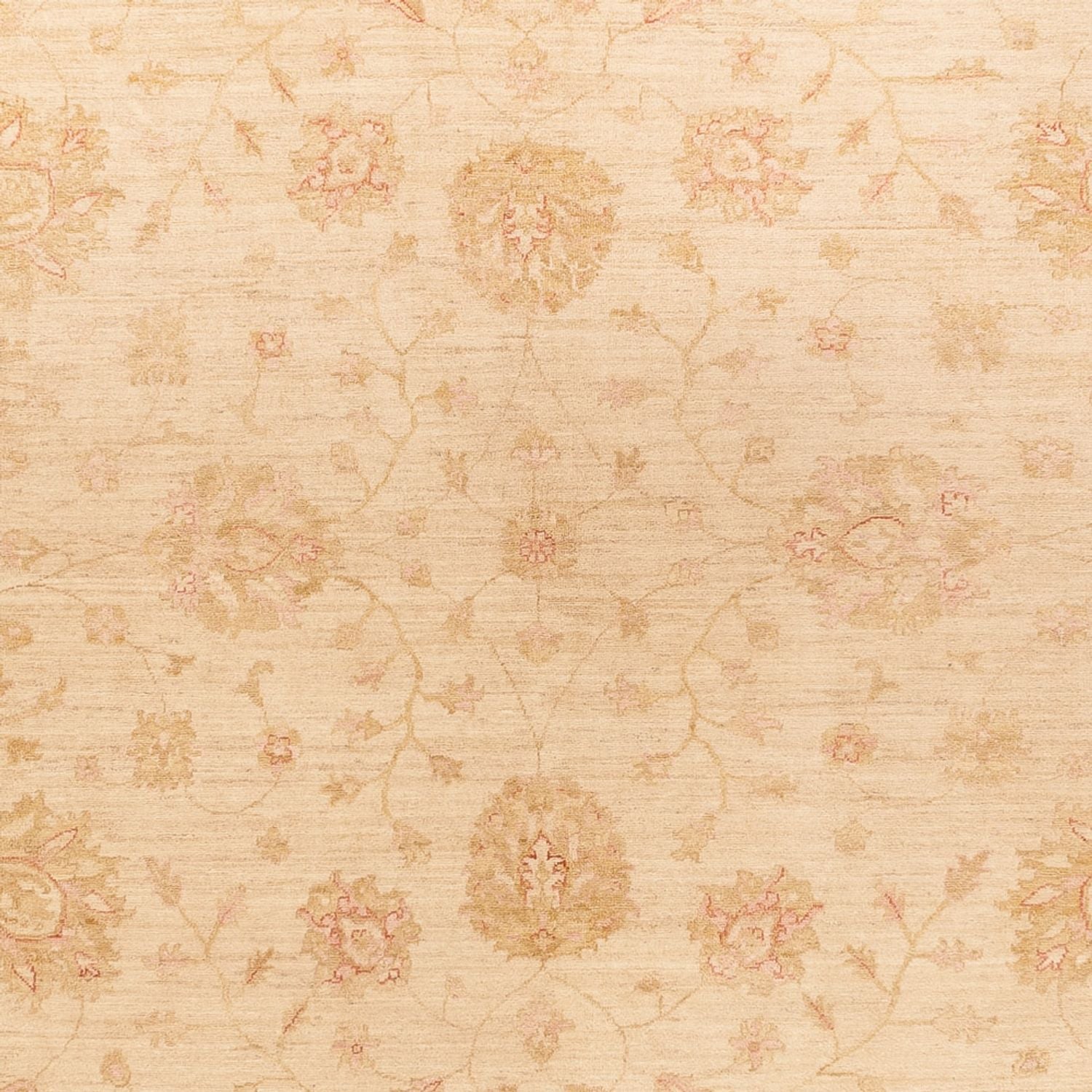 Ziegler Teppich - 363 x 272 cm - beige