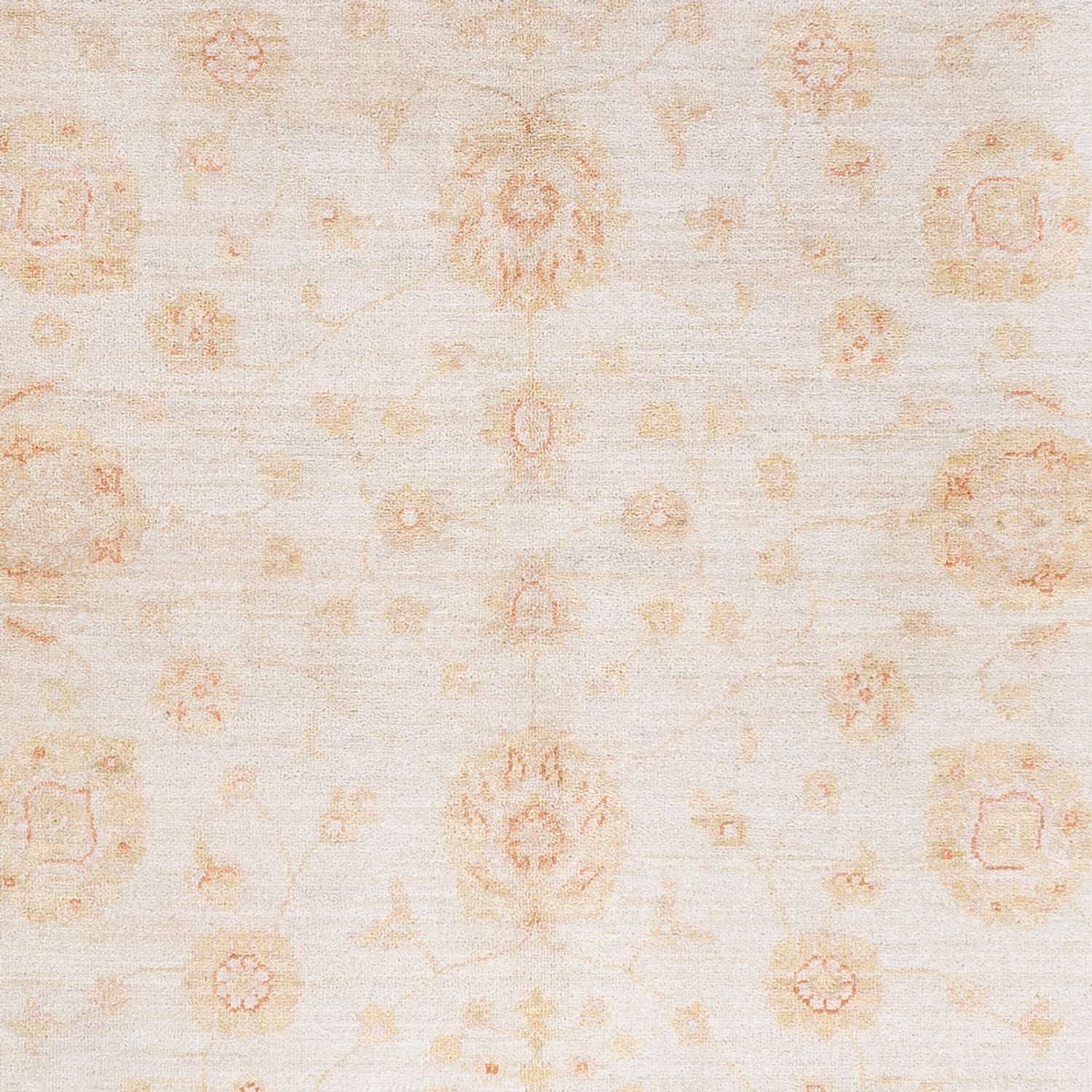 Ziegler Teppich - 240 x 173 cm - creme