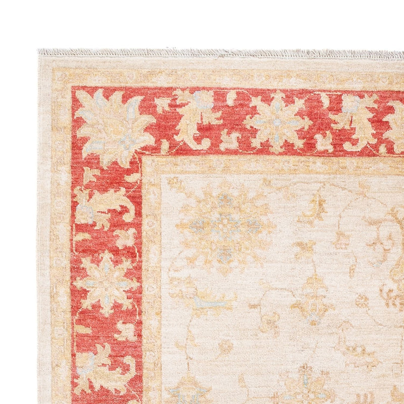 Ziegler Teppich - 241 x 171 cm - creme