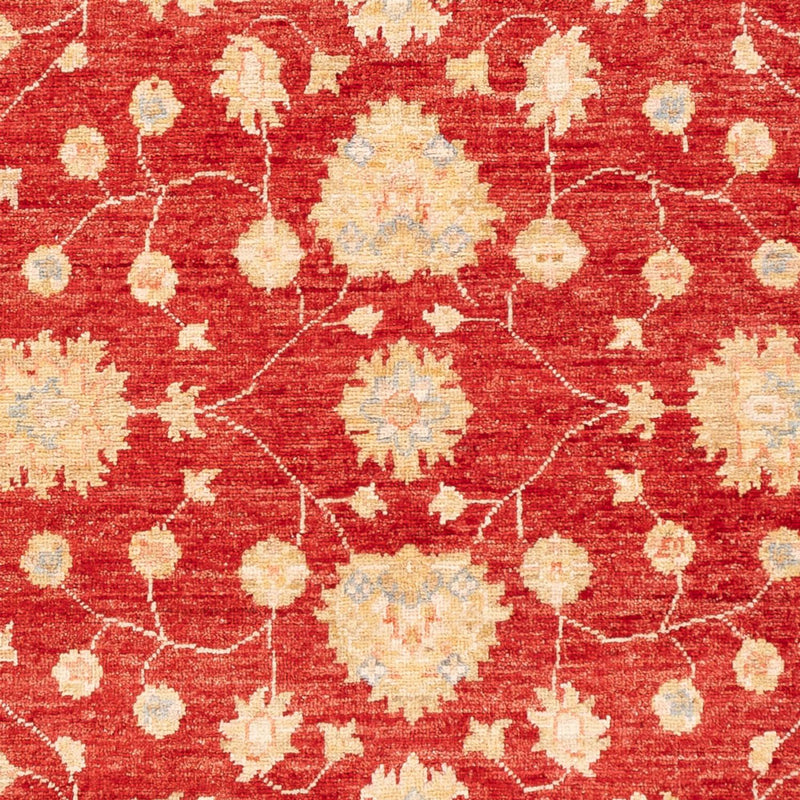 Ziegler Teppich - 177 x 124 cm - rot