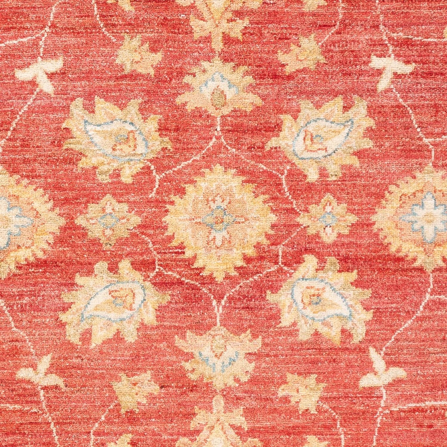 Ziegler Teppich - 180 x 127 cm - rot