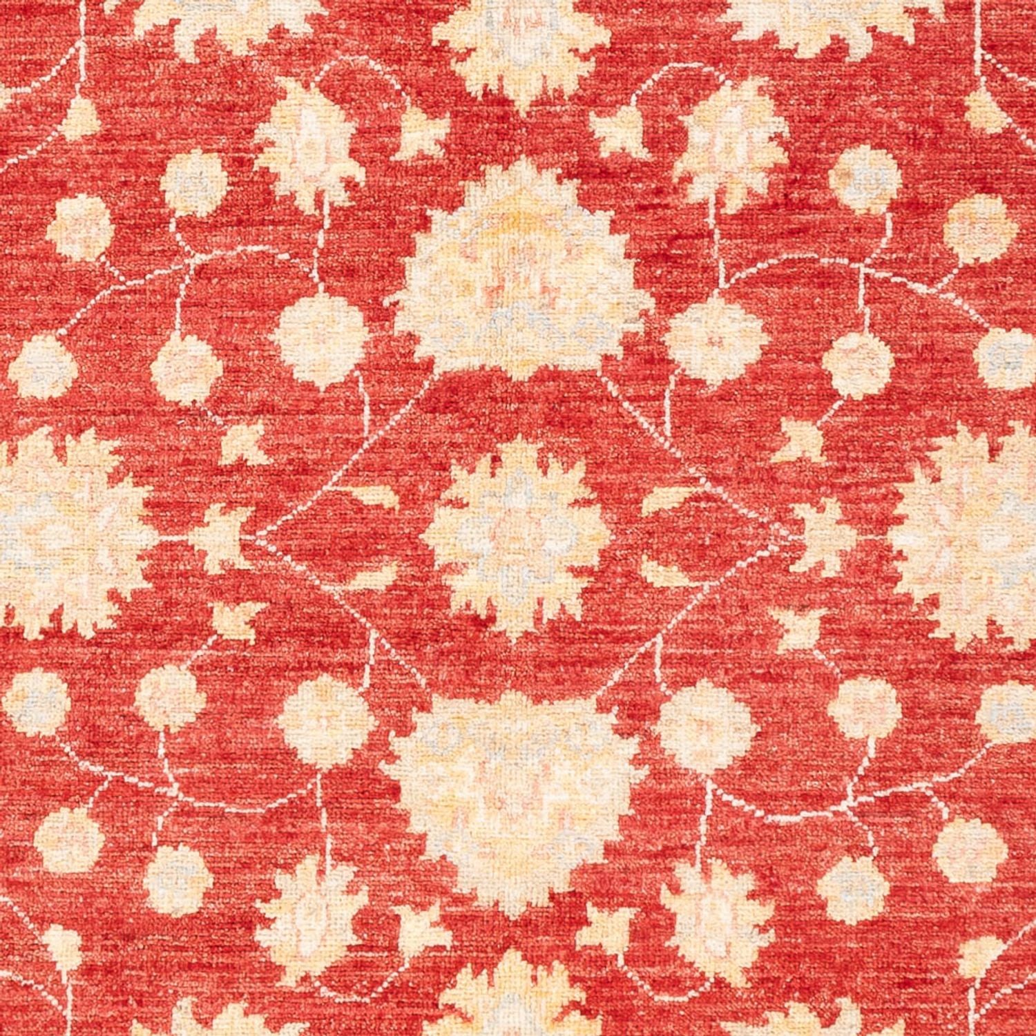 Ziegler Teppich - 177 x 126 cm - rot