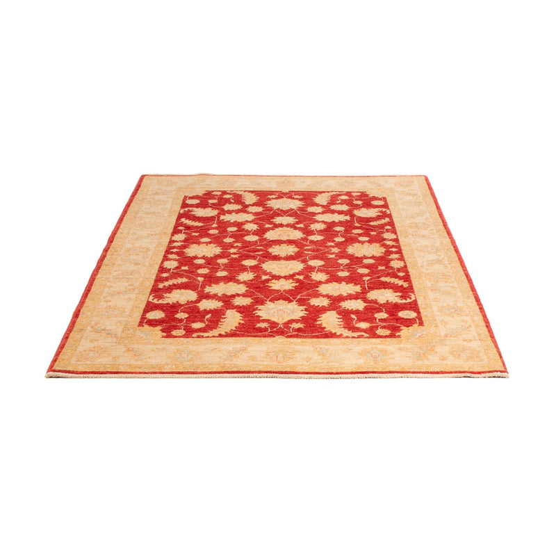 Ziegler Teppich - 177 x 126 cm - rot