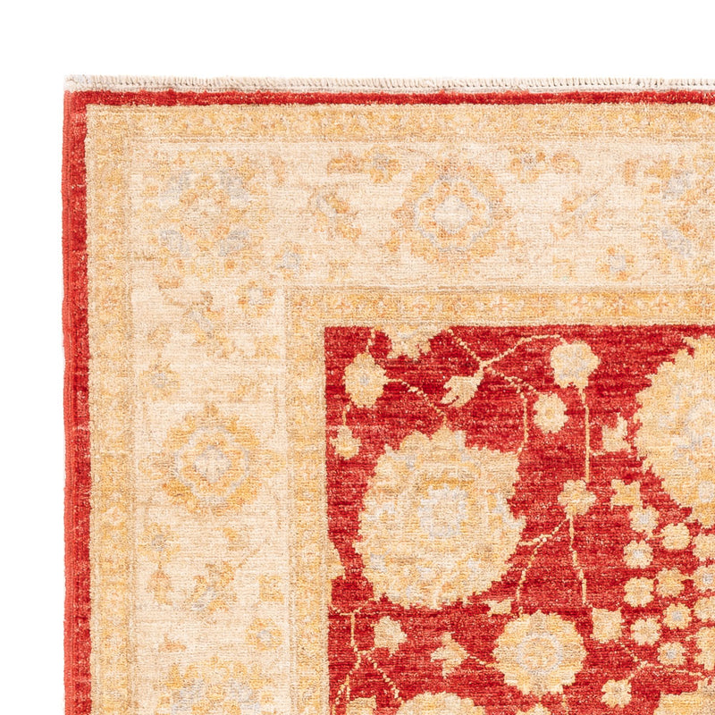 Ziegler Teppich - 181 x 125 cm - rot