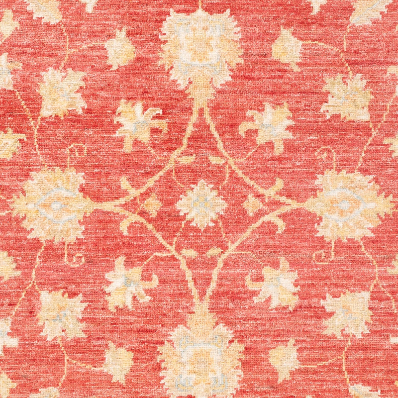 Ziegler Teppich - 183 x 125 cm - rot