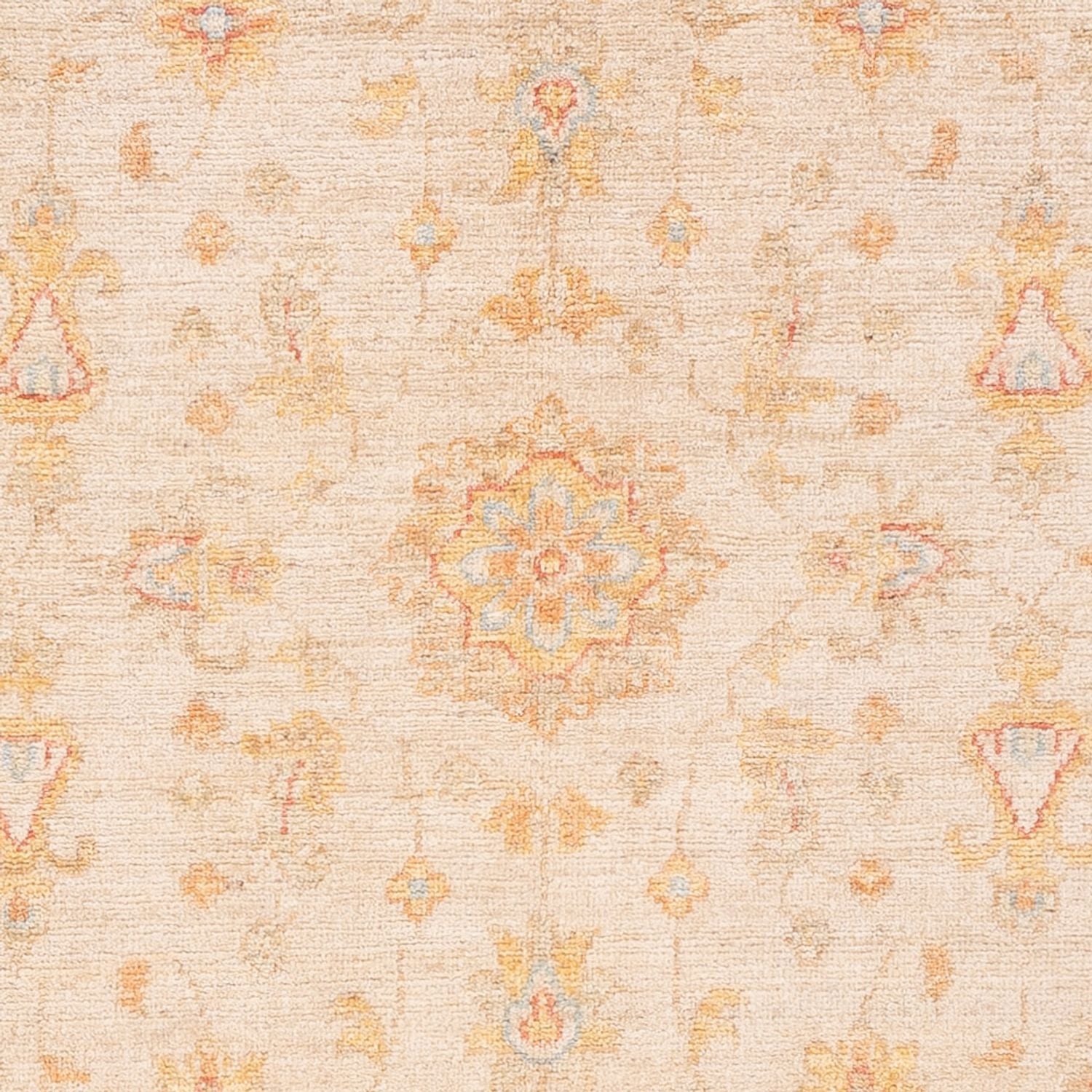 Ziegler Teppich - 151 x 101 cm - beige
