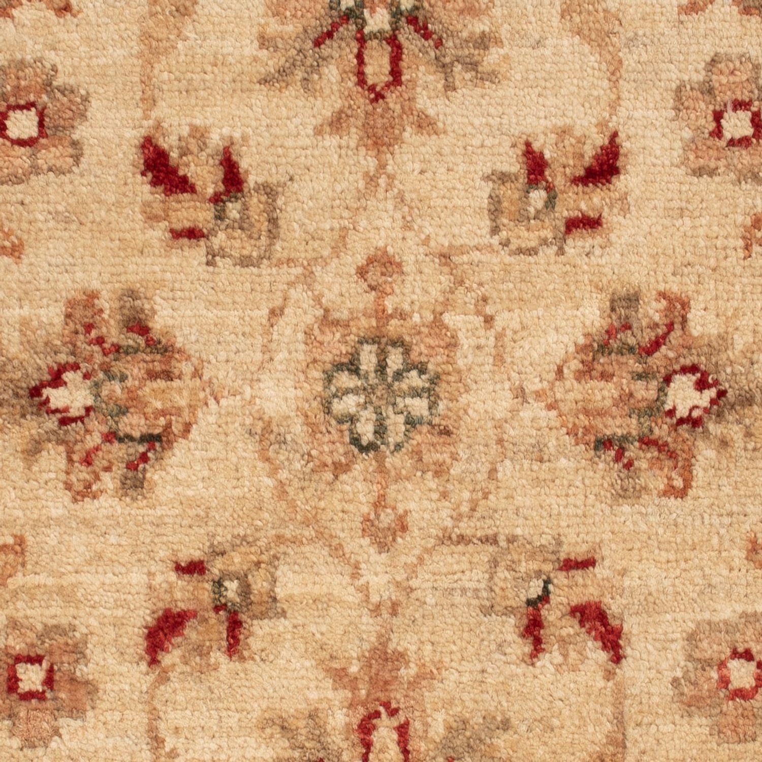 Ziegler Teppich - 70 x 51 cm - beige