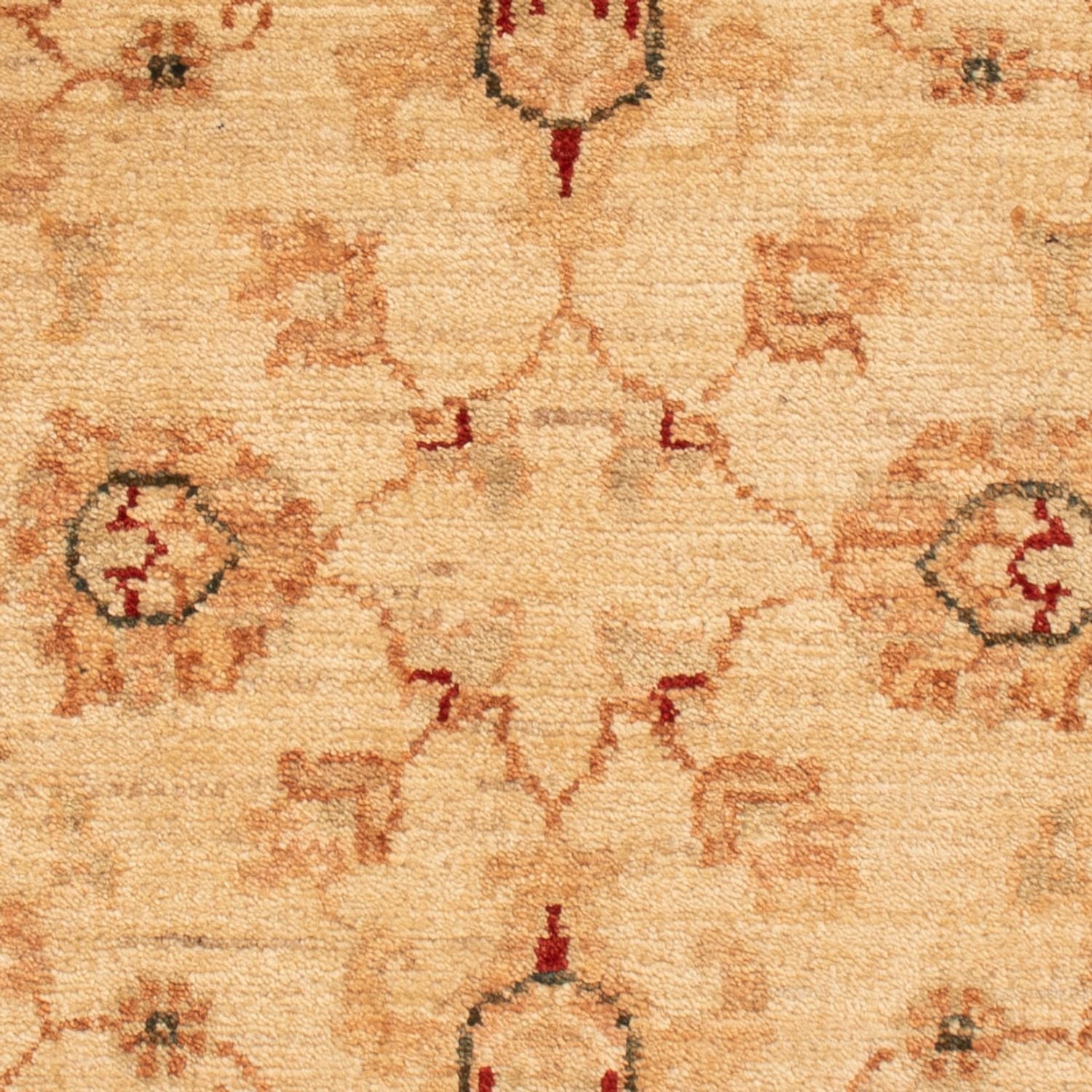 Ziegler Teppich - 91 x 63 cm - beige
