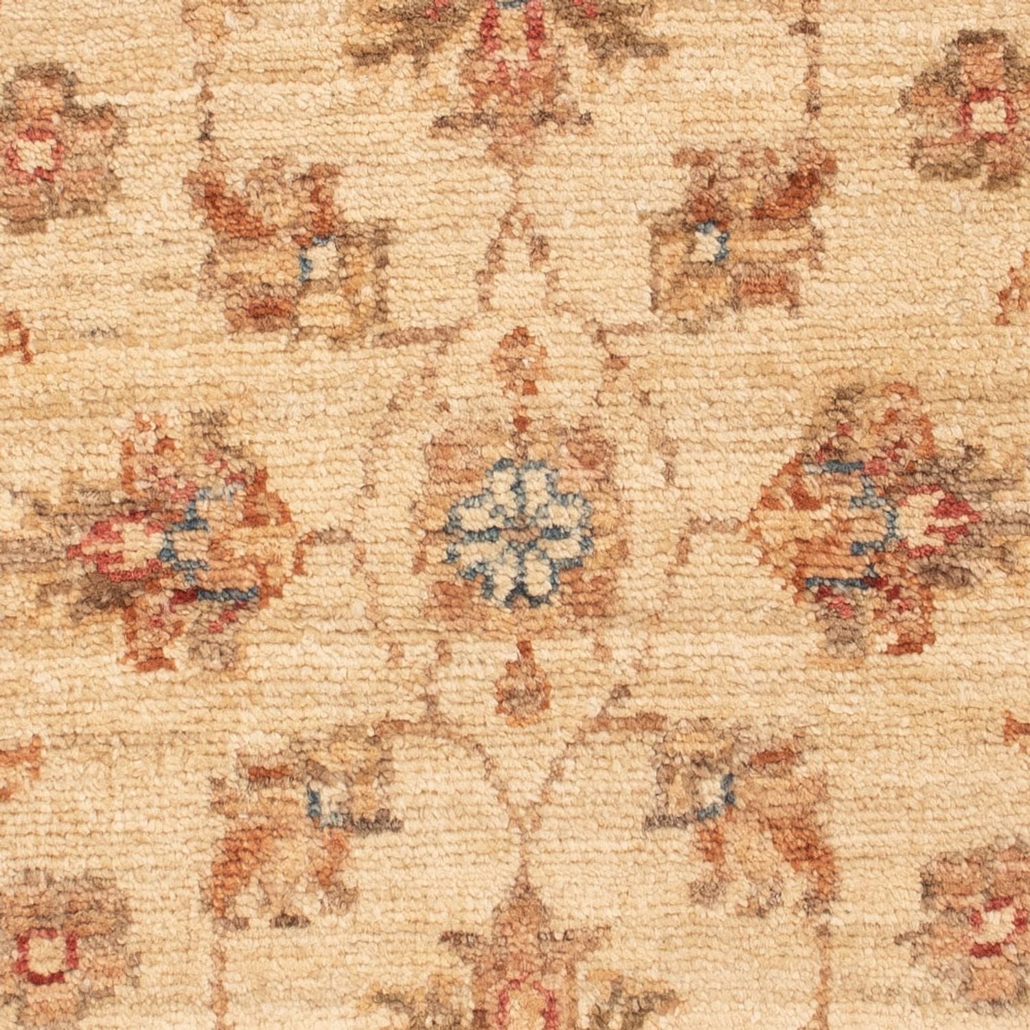 Ziegler Teppich - 72 x 51 cm - beige