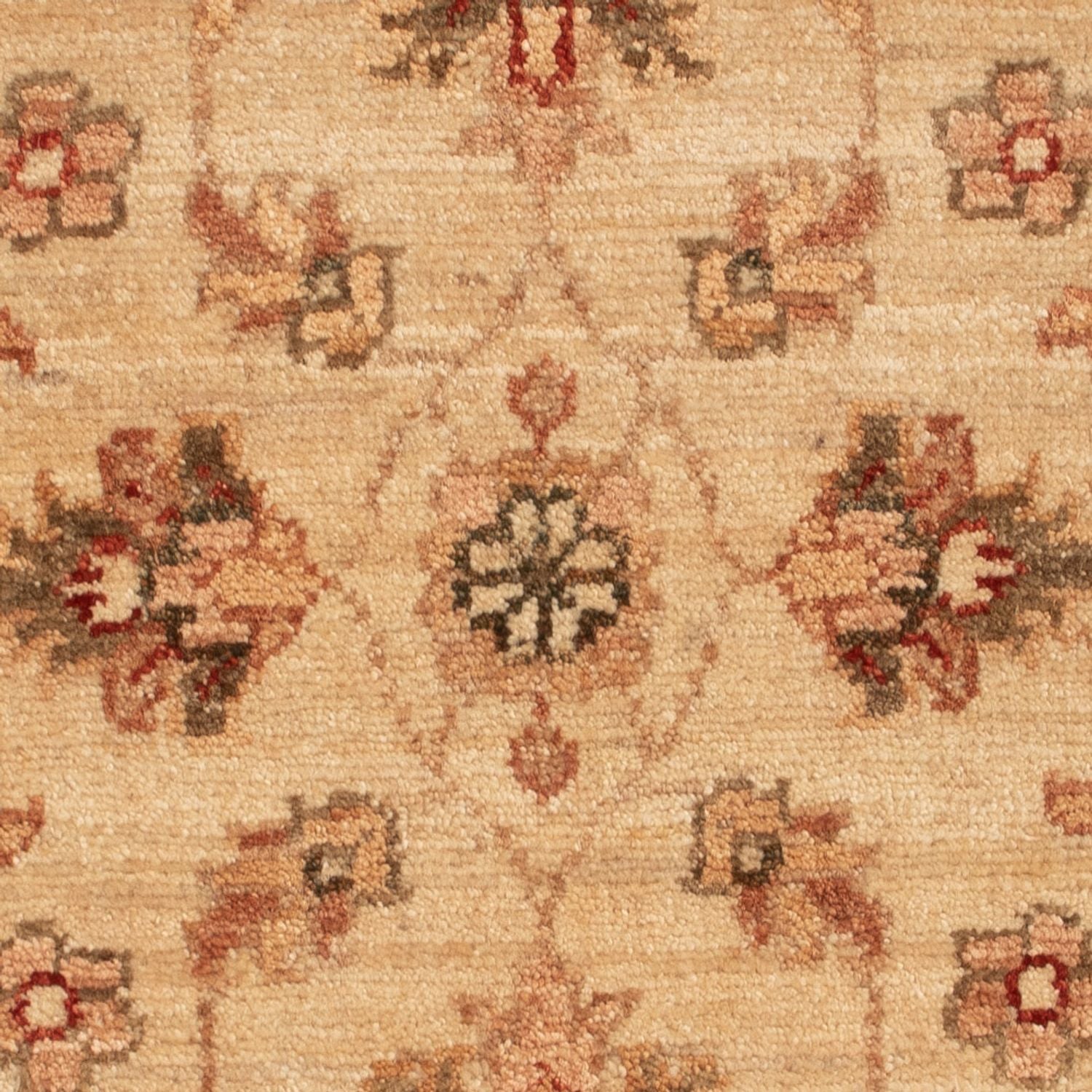 Ziegler Teppich - 70 x 50 cm - beige