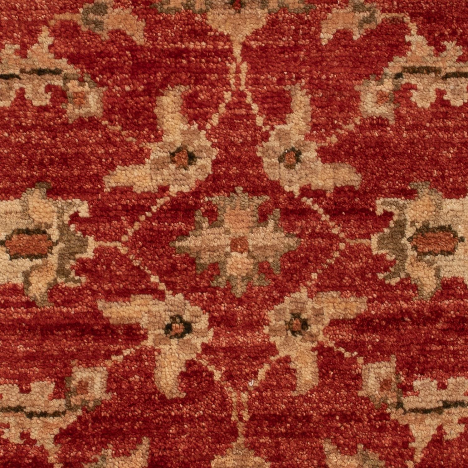 Ziegler Teppich - 67 x 49 cm - rot