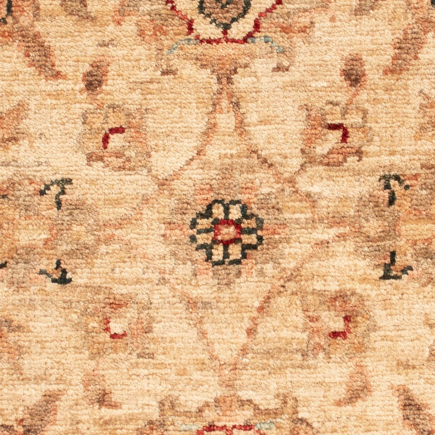 Ziegler Teppich - 66 x 52 cm - beige
