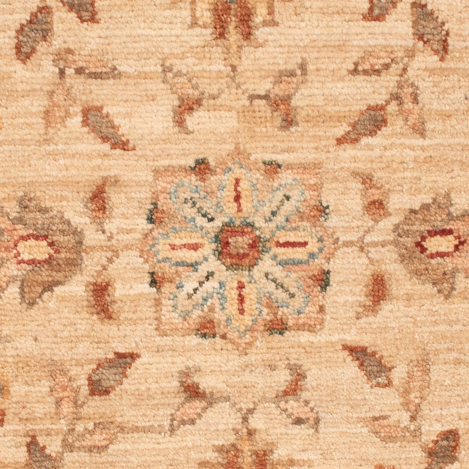 Ziegler Teppich - 70 x 51 cm - beige