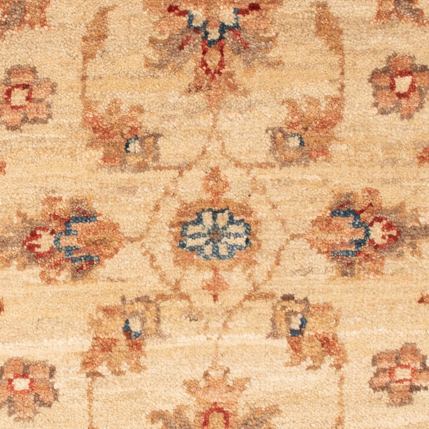 Ziegler Teppich - 70 x 51 cm - beige