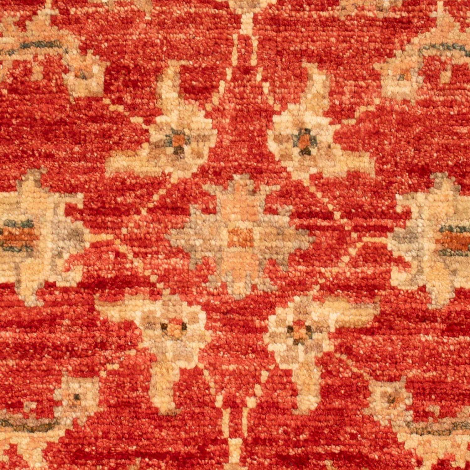 Ziegler Teppich - 70 x 56 cm - rot