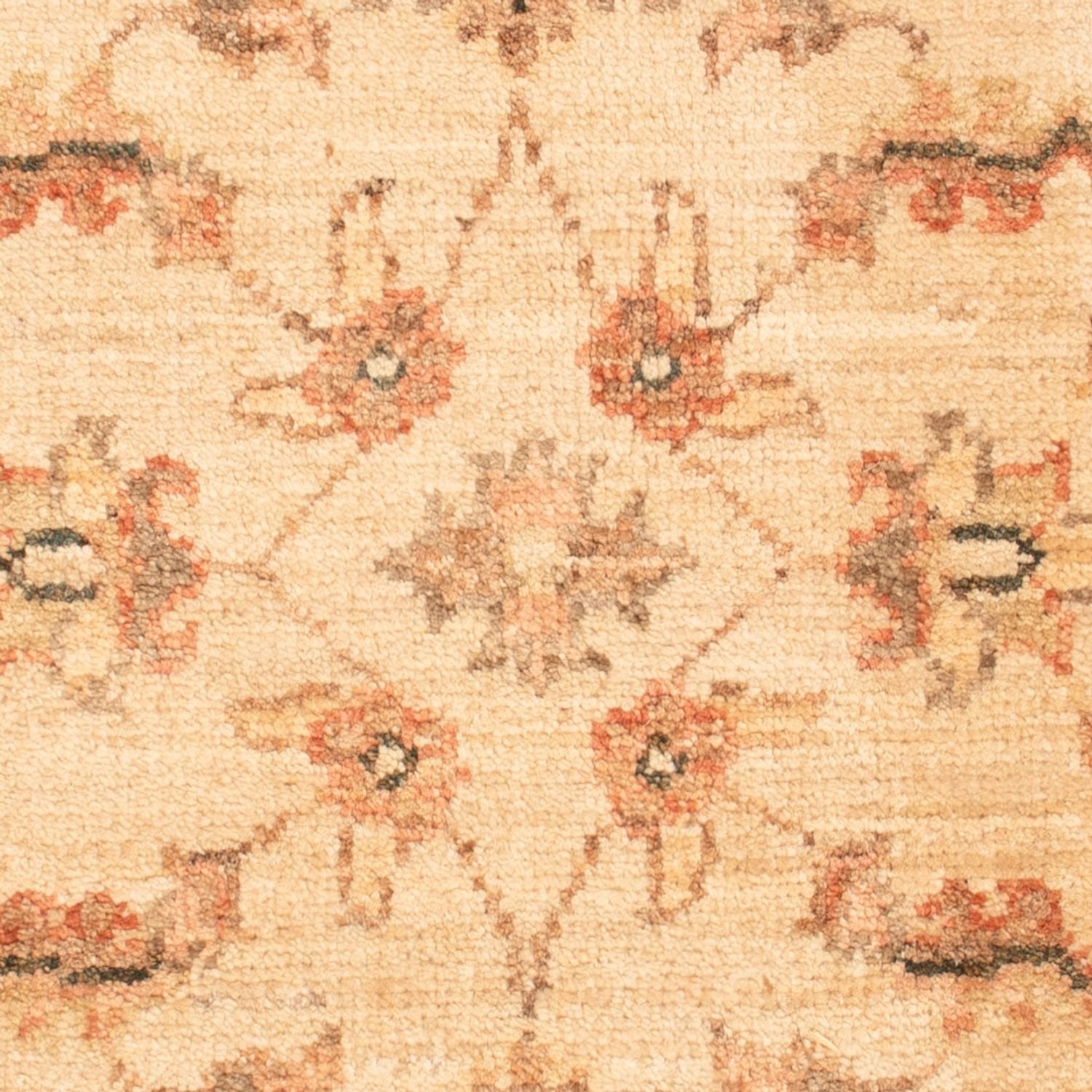 Ziegler Teppich - 70 x 50 cm - beige