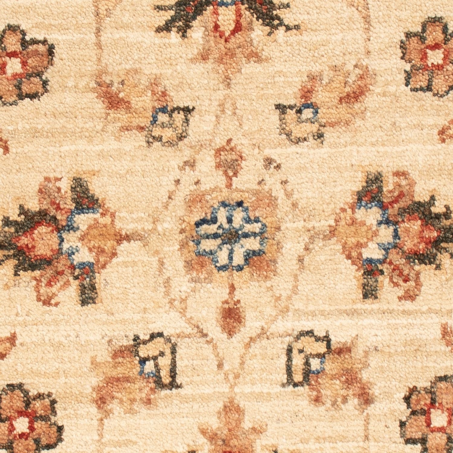 Ziegler Teppich - 66 x 50 cm - beige