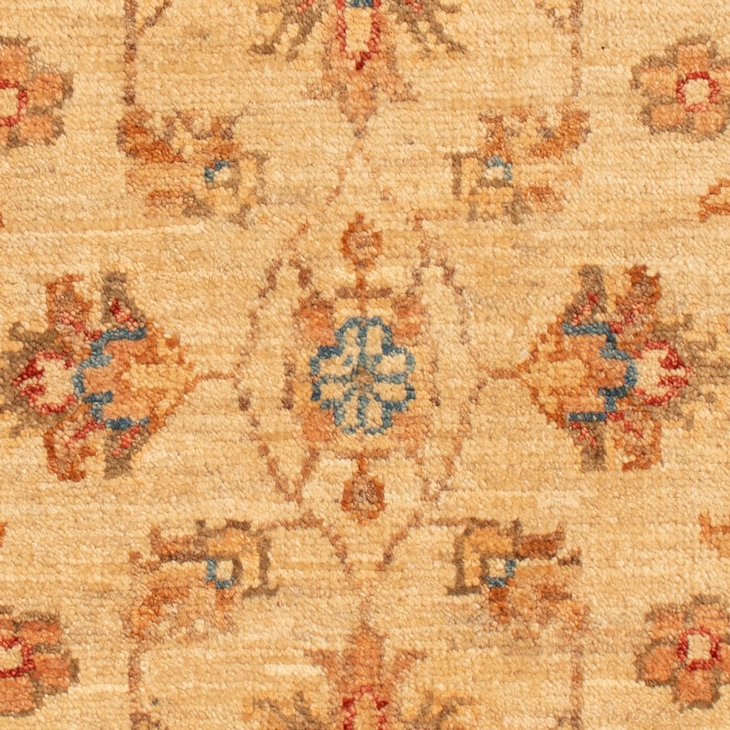 Ziegler Teppich - 70 x 52 cm - beige