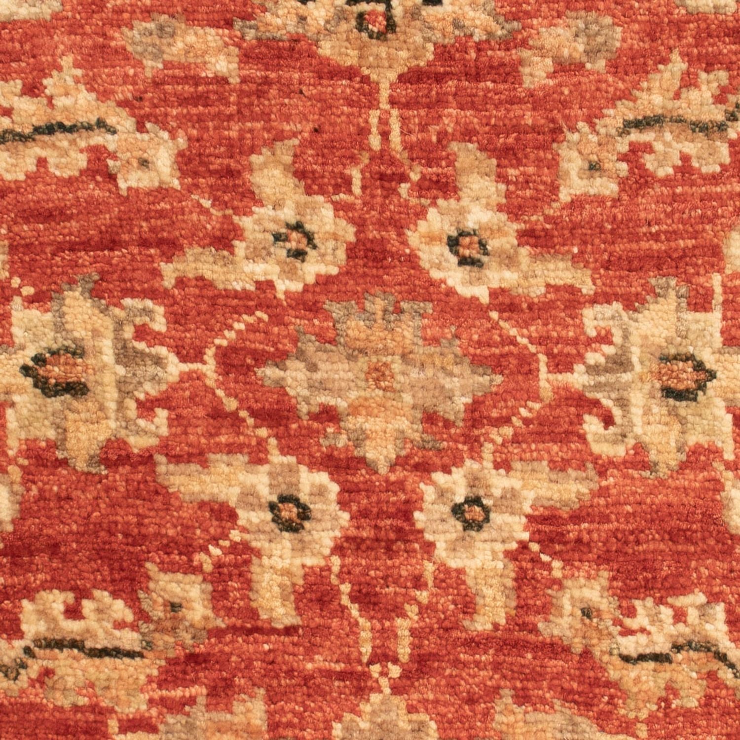 Ziegler Teppich - 66 x 47 cm - rot