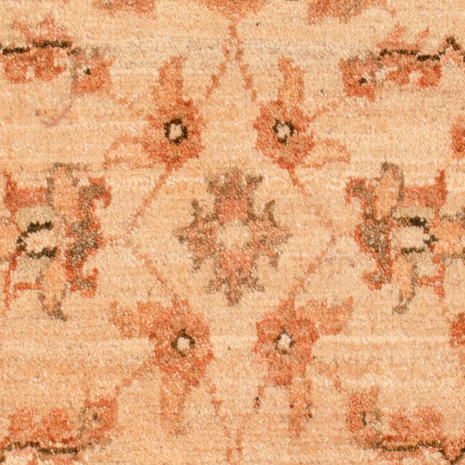 Ziegler Teppich - 73 x 56 cm - beige