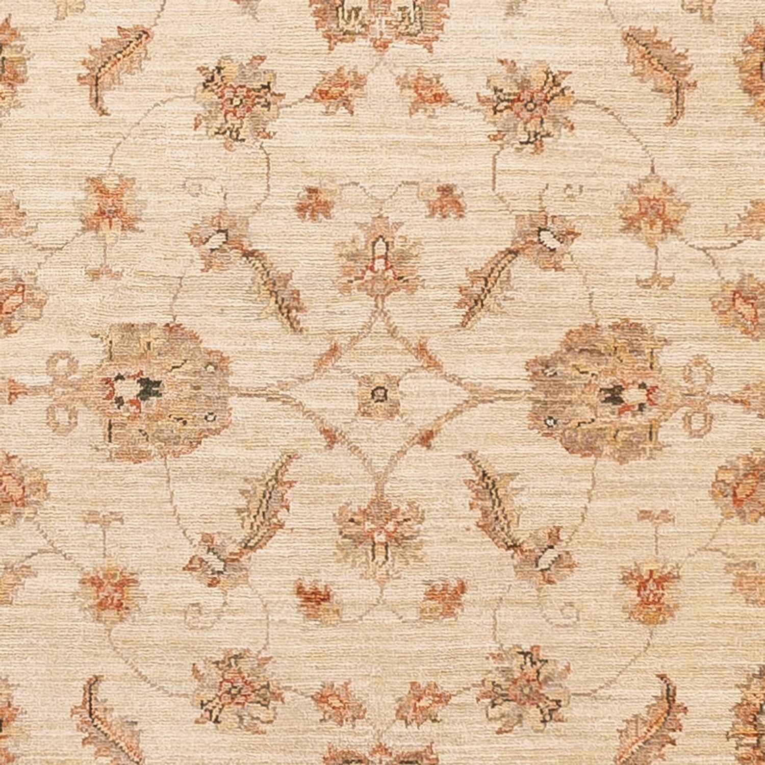 Läufer Ziegler - 297 x 122 cm - beige