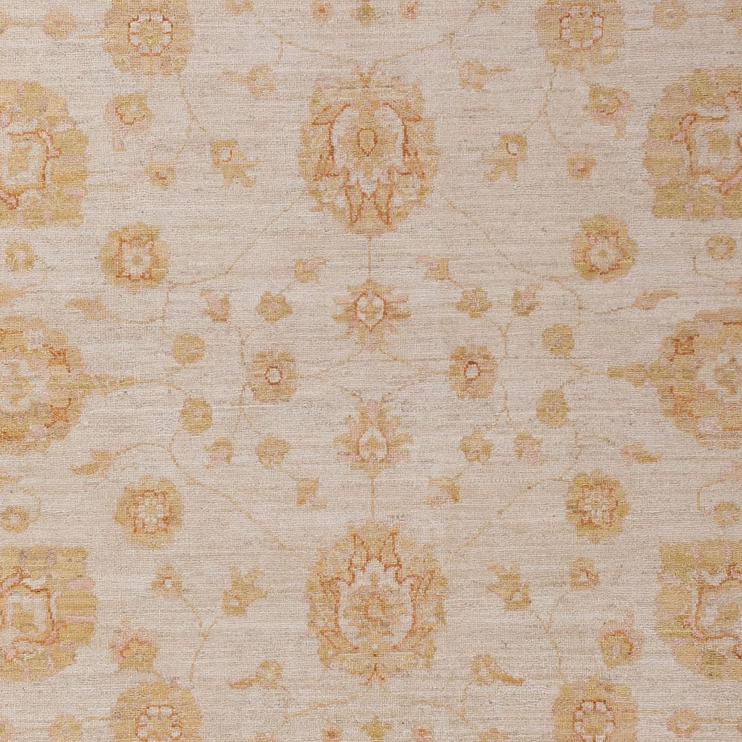 Ziegler Teppich - 293 x 204 cm - beige