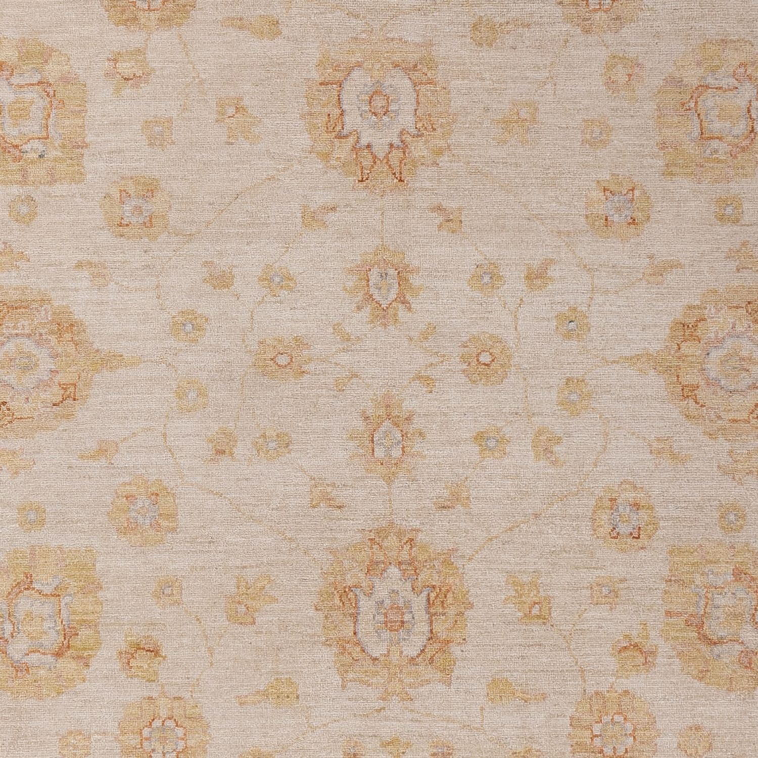 Ziegler Teppich - 292 x 206 cm - beige