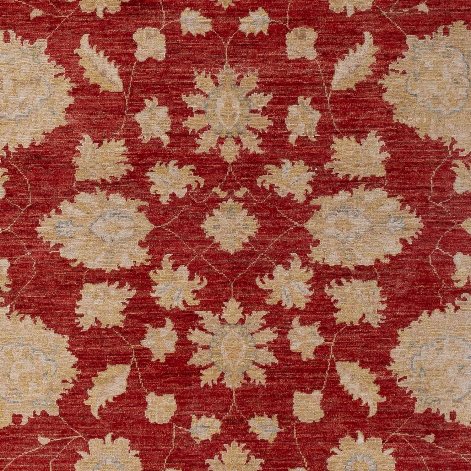 Ziegler Teppich - 295 x 201 cm - dunkelrot
