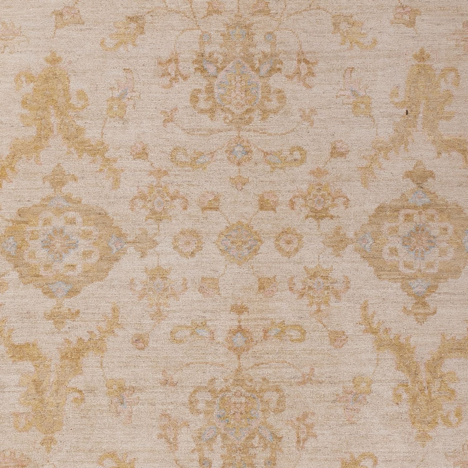 Ziegler Teppich - 295 x 210 cm - beige