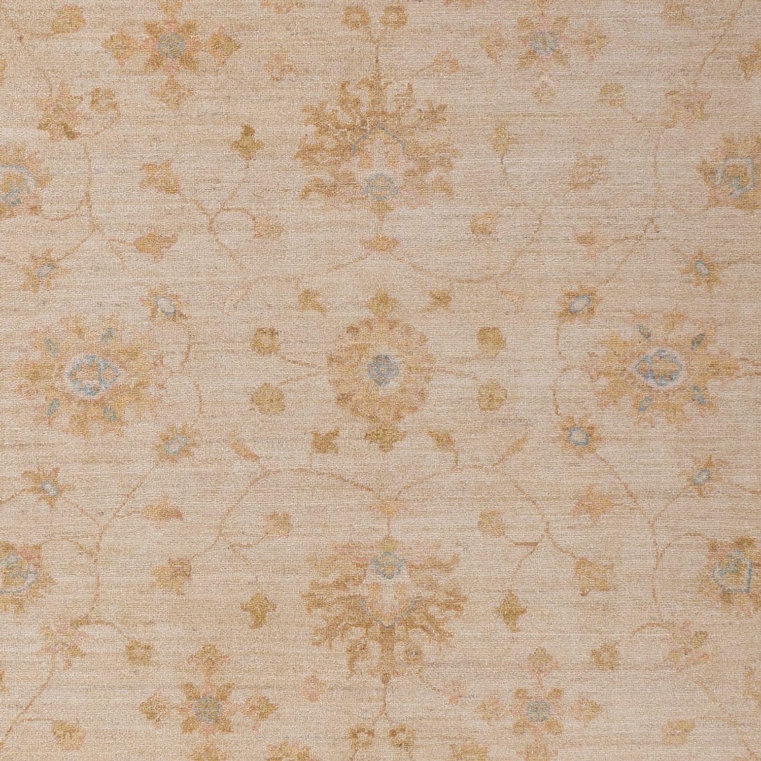 Ziegler Teppich - 302 x 205 cm - beige