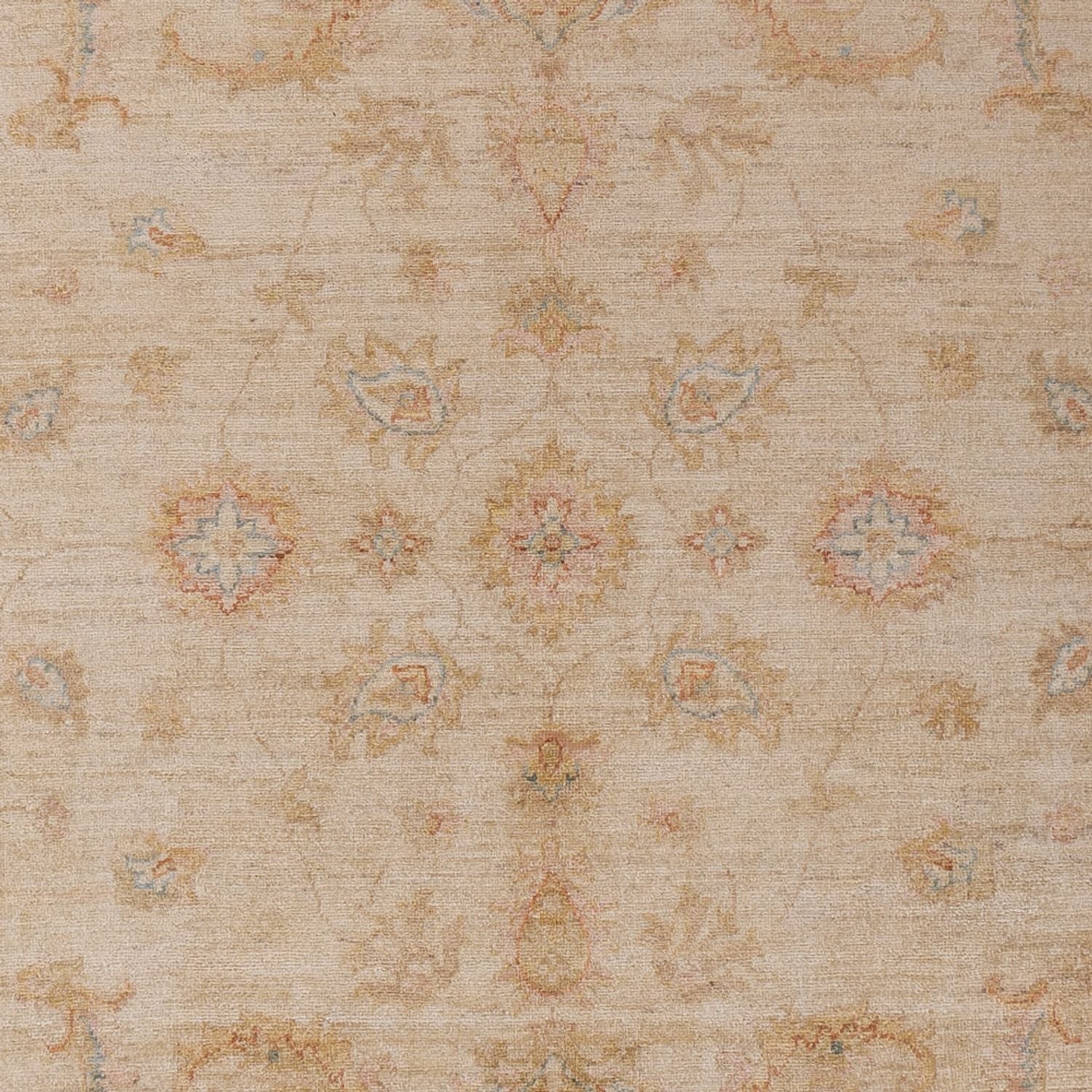 Ziegler Teppich - 304 x 206 cm - beige