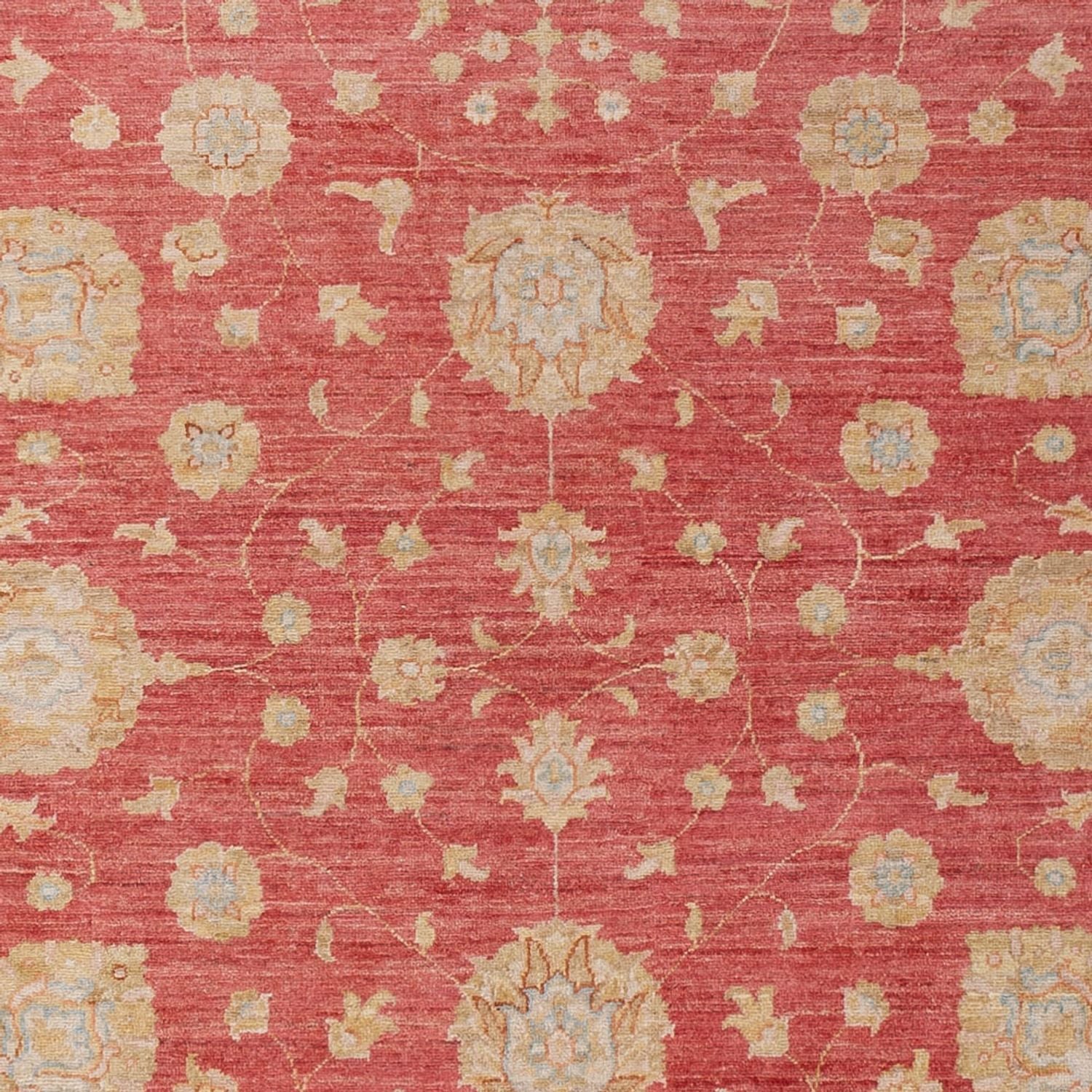 Ziegler Teppich - 293 x 205 cm - rot