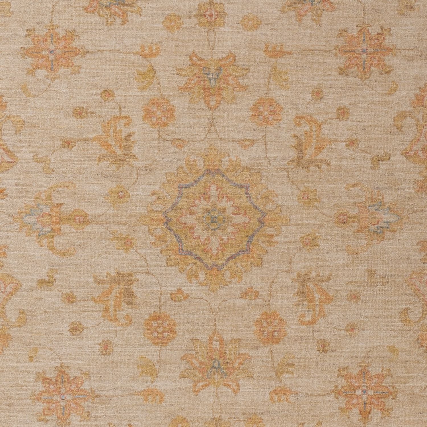 Ziegler Teppich - 280 x 209 cm - beige