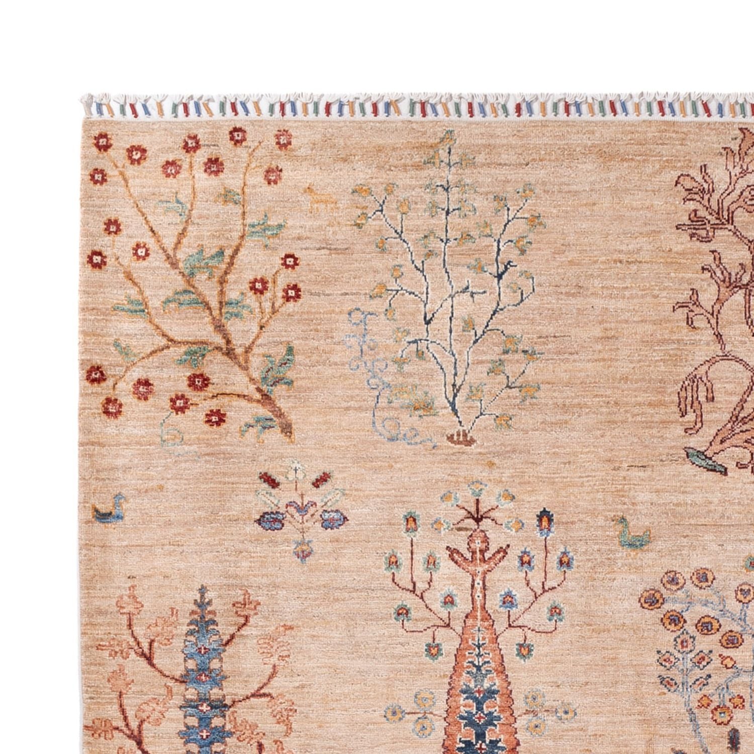 Ziegler Teppich - Ariana - 293 x 206 cm - beige